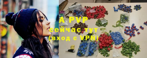 тгк Касимов