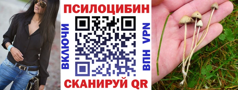 OMG сайт  наркота  Улан-Удэ  Галлюциногенные грибы MAGIC MUSHROOMS 